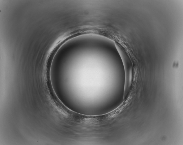 X0000094960150200711291448