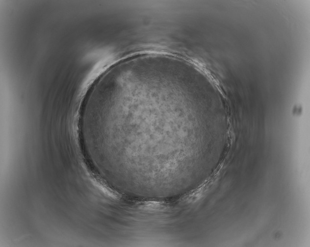 X0000094960151200711291448