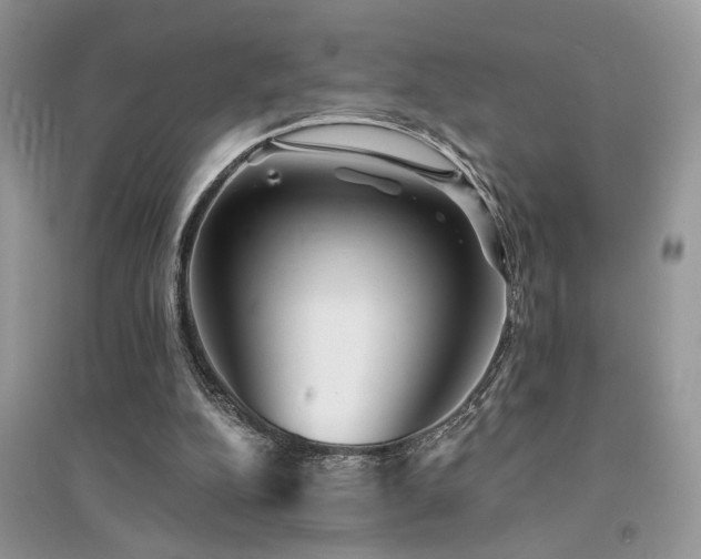 X0000094960152200711291448