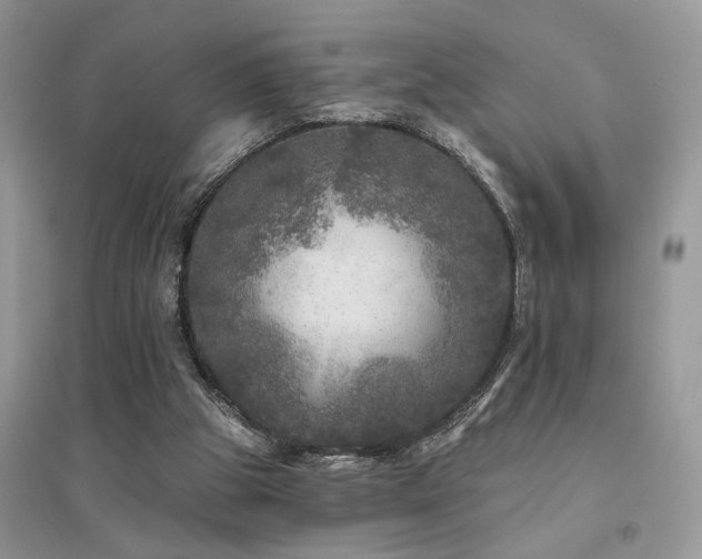 X0000094960153200711291449