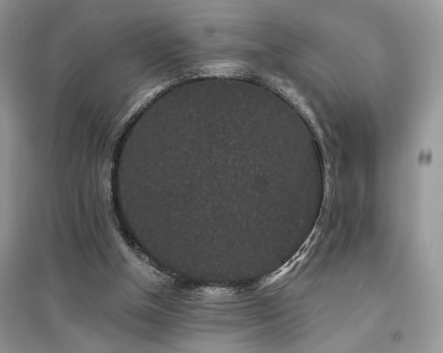 X0000094960154200711291449