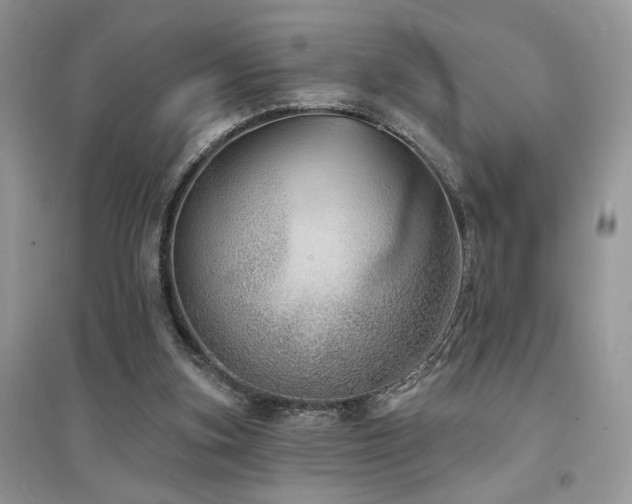 X0000094960155200711291449