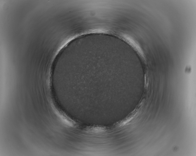 X0000094960156200711291449