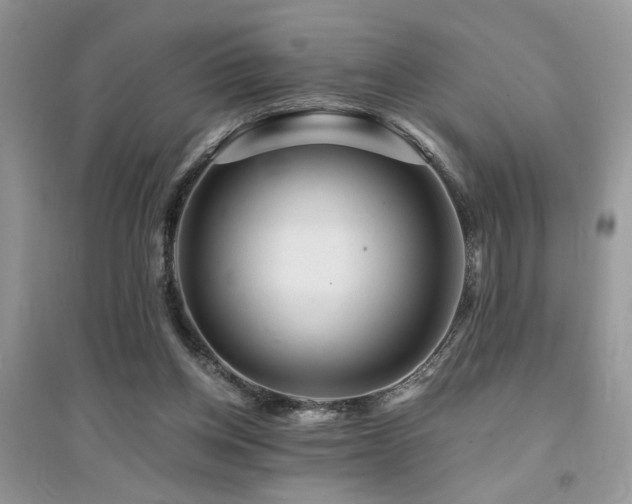 X0000094960158200711291449