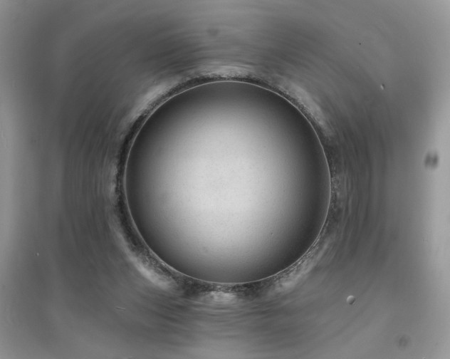 X0000094960159200711291449