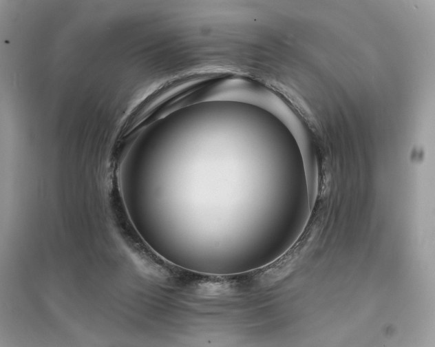 X0000094960160200711291449