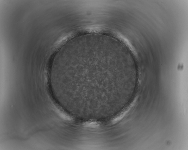 X0000094960161200711291449