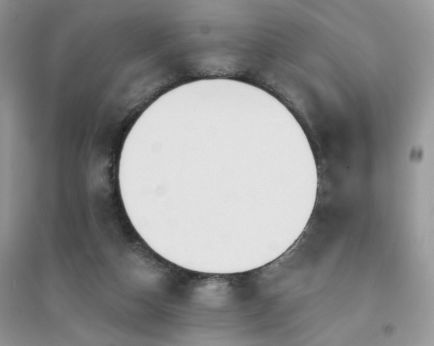 X0000094960162200711291449