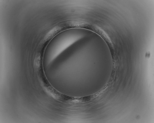 X0000094960163200711291449