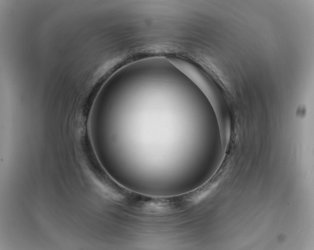 X0000094960164200711291449