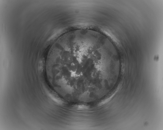 X0000094960165200711291449