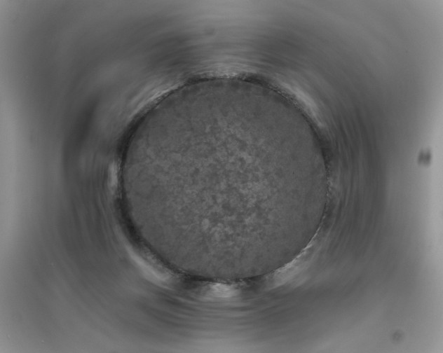 X0000094960166200711291449