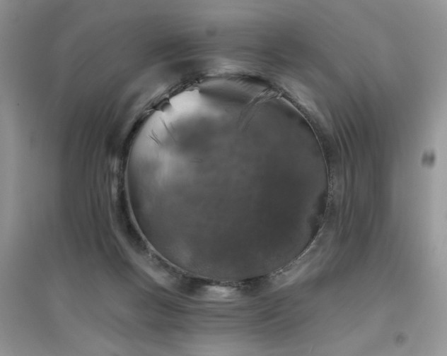 X0000094960167200711291449