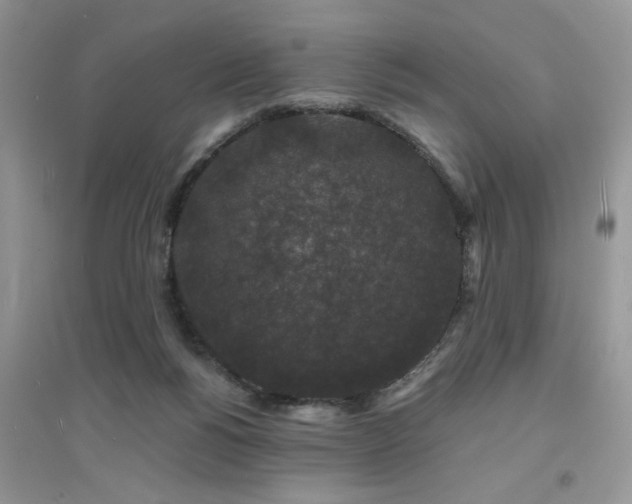 X0000094960168200711291449