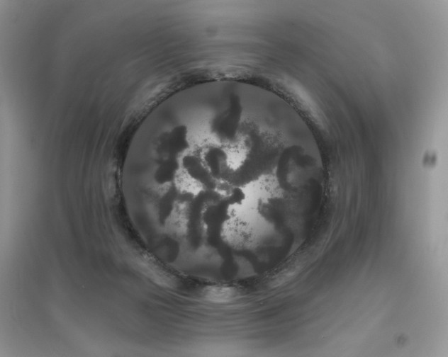 X0000094960169200711291449