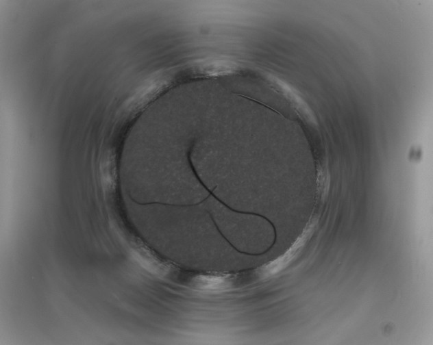 X0000094960170200711291449