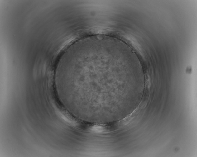 X0000094960171200711291449