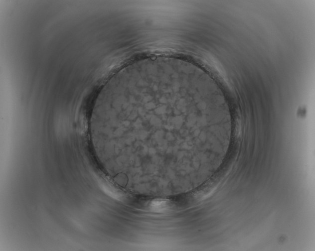 X0000094960173200711291449