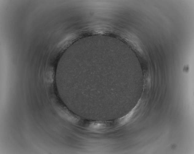 X0000094960174200711291449