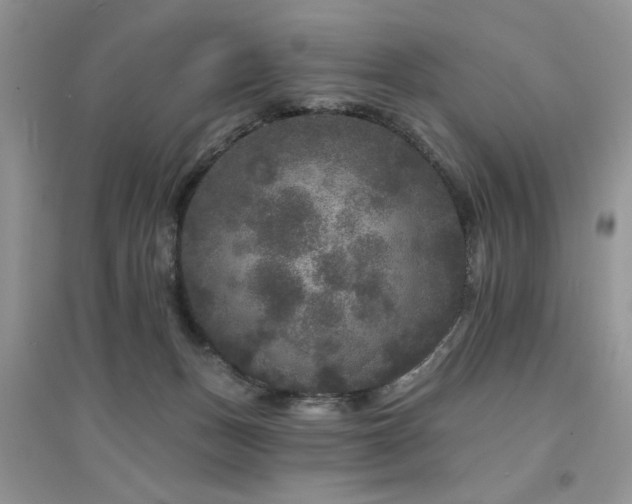 X0000094960175200711291449