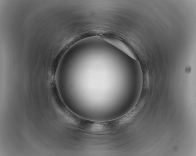 X0000094960176200711291449