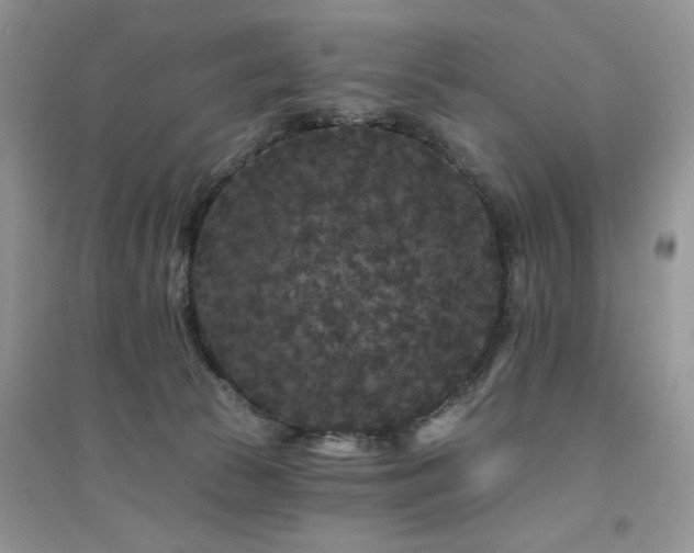 X0000094960177200711291449