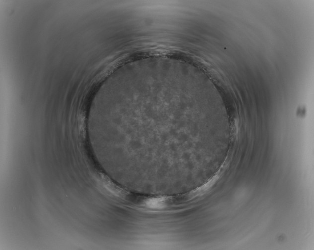 X0000094960178200711291449