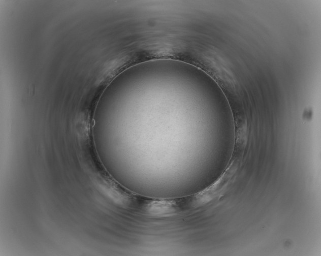 X0000094960179200711291449