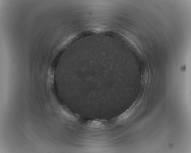 X0000094960180200711291449