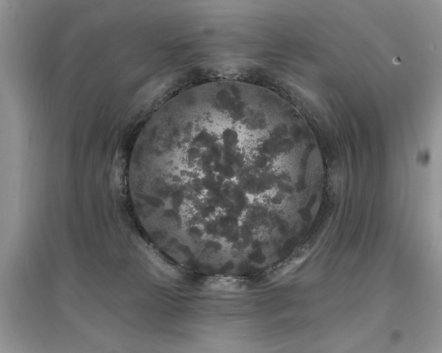 X0000094960181200711291449