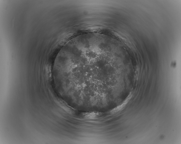 X0000094960182200711291449