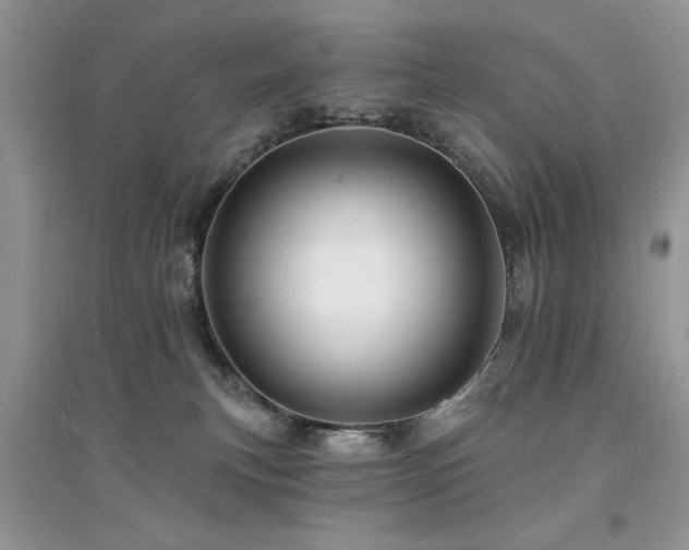 X0000094960183200711291449