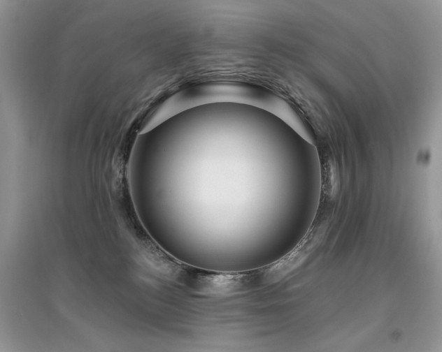 X0000094960184200711291449