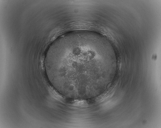 X0000094960185200711291449