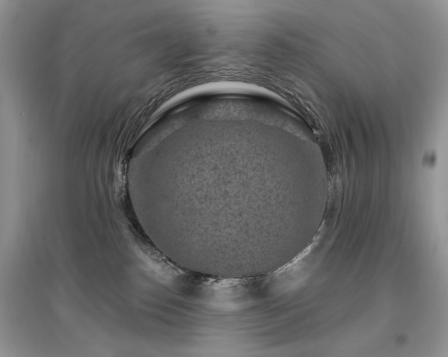 X0000094960186200711291449