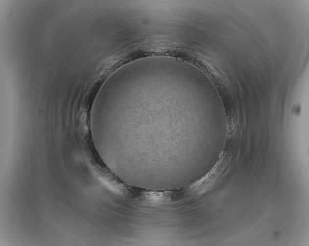 X0000094960187200711291449