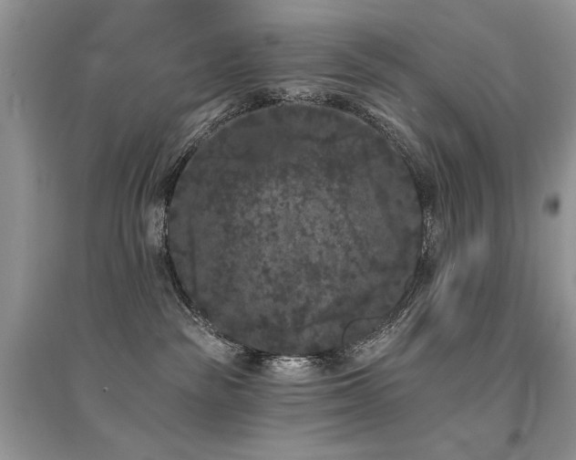 X0000094960189200711291449