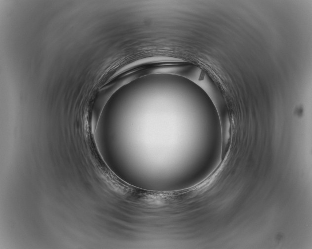 X0000094960190200711291449