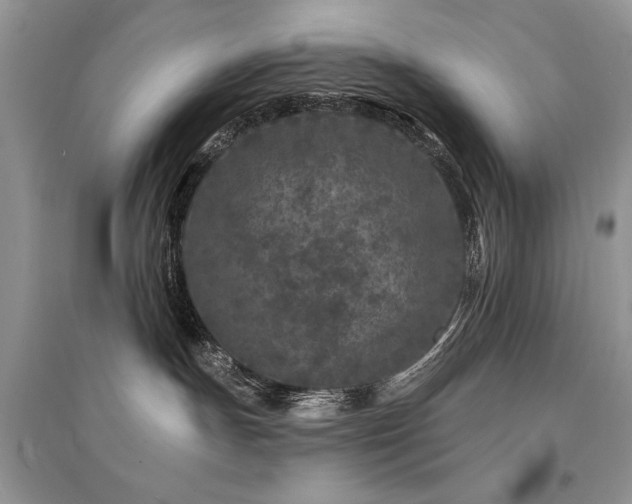 X0000094960191200711291449