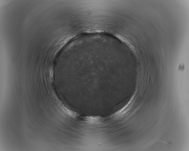 X0000094960192200711291449