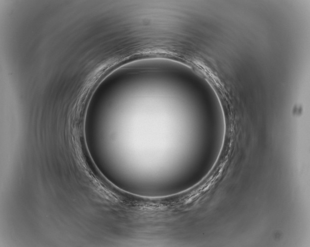 X0000094960193200711291448