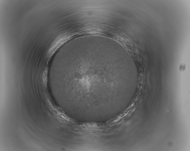 X0000094960194200711291448