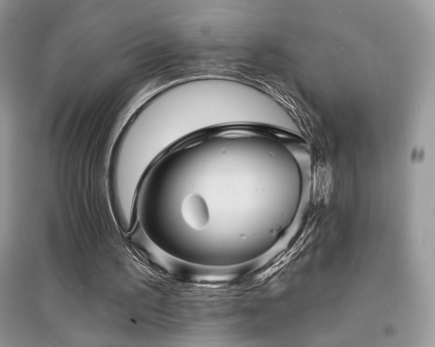 X0000094960195200711291448