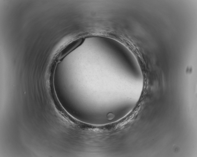 X0000094960197200711291448