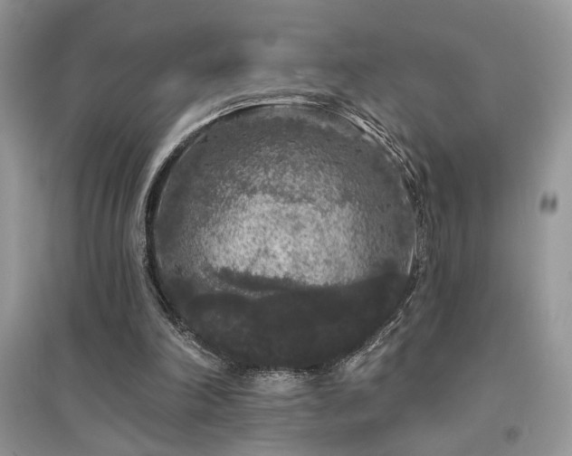 X0000094960198200711291448