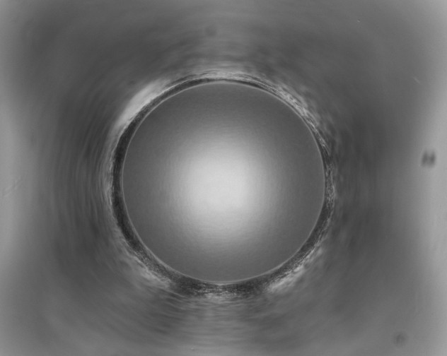 X0000094960199200711291448