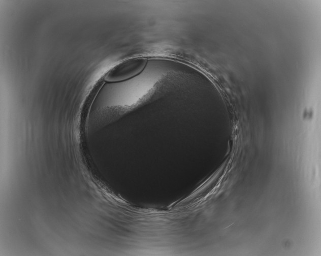 X0000094960200200711291448