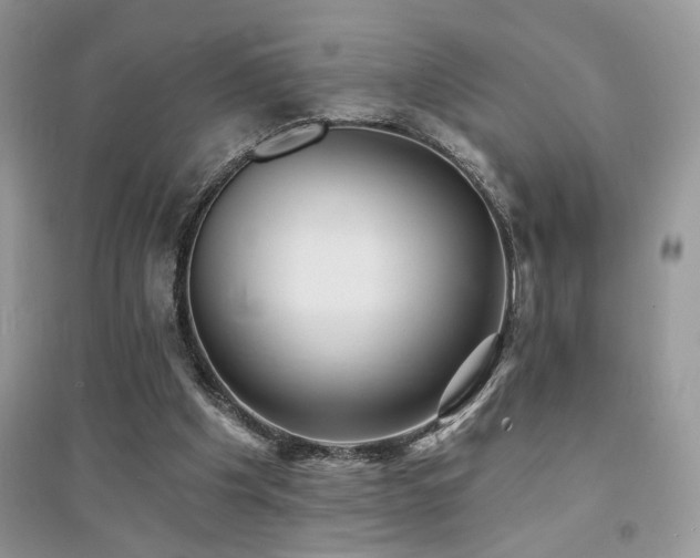 X0000094960201200711291448