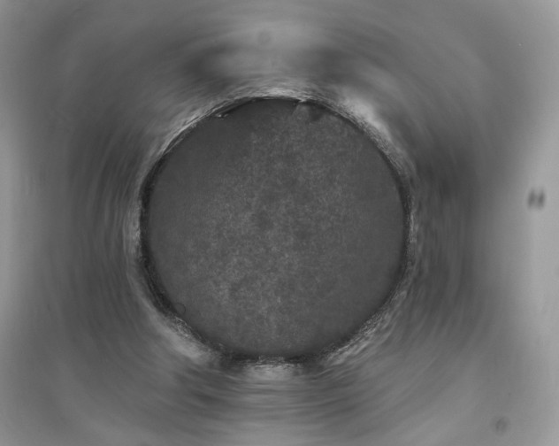 X0000094960202200711291448