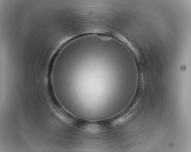 X0000094960203200711291448